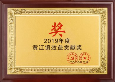 2019年黄江镇效益贡献奖